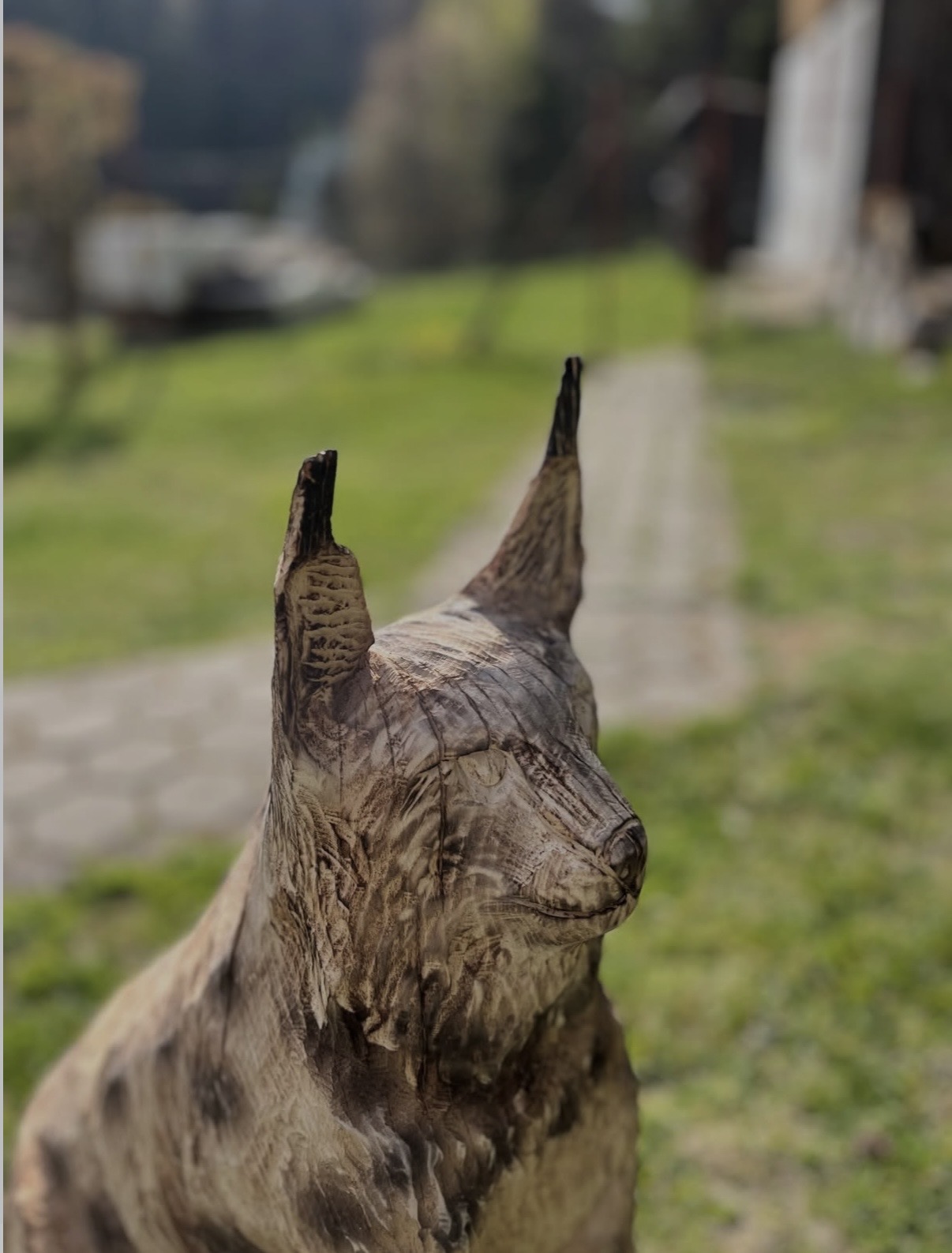 Lynx