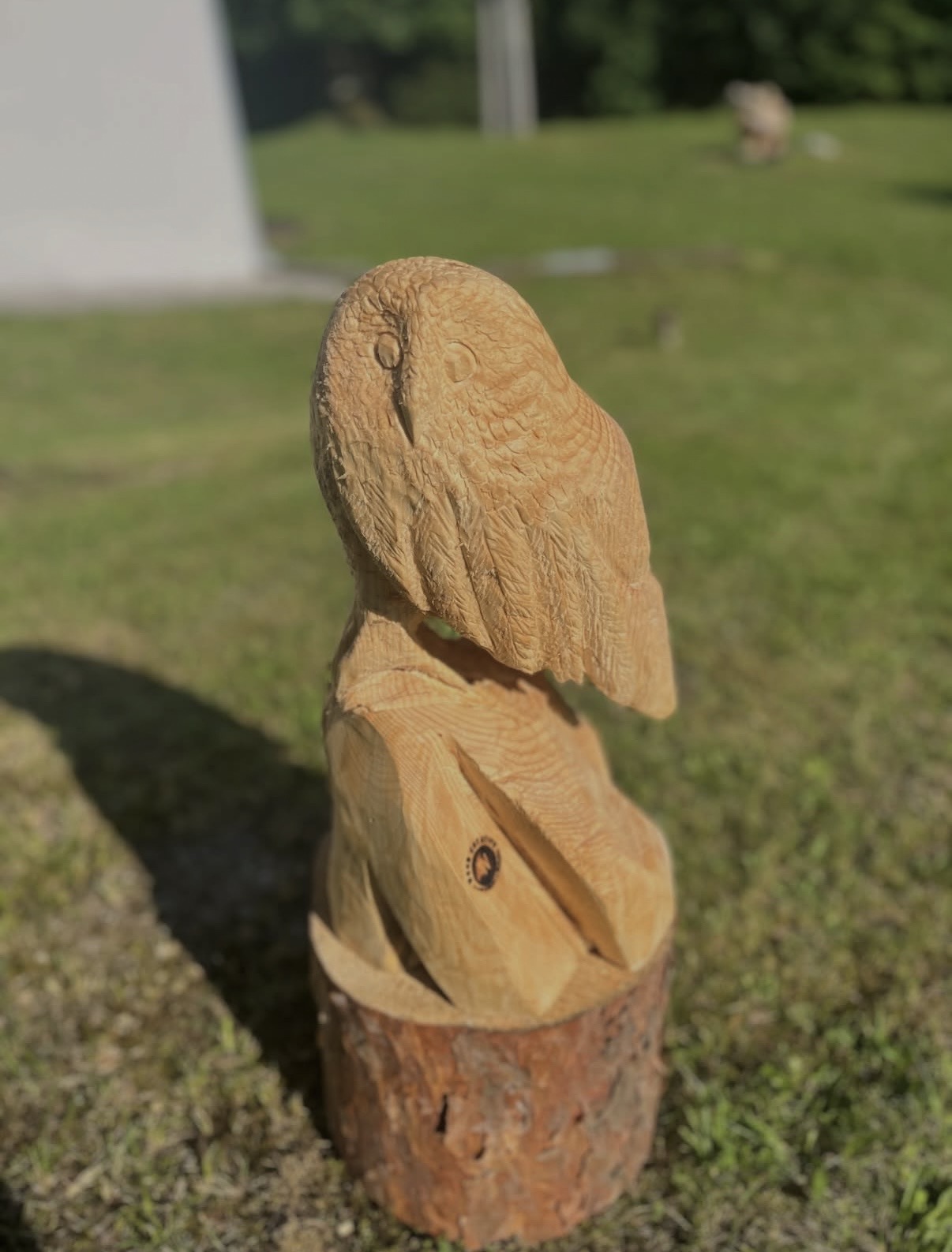 The Owl